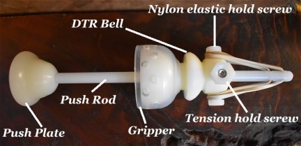 DTR foreskin restoring device anatomy